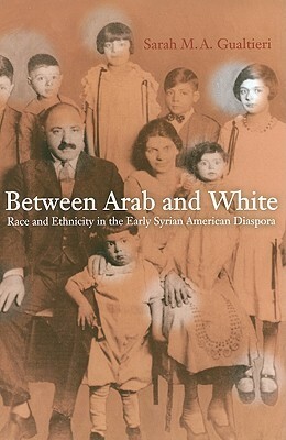 Between Arab and White: Race and Ethnicity in the Early Syrian American Diaspora by Sarah M.A. Gualtieri