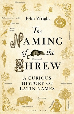 The Naming of the Shrew by John Wright
