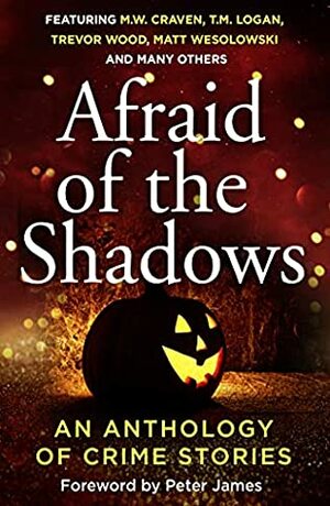 Afraid of the Shadows by Kate Simants, T.M. Logan, Peter James, Adam Southward, Trevor Wood, Victoria Selman, M.W. Craven, Katerina Diamond, Elle Croft, Phoebe Morgan