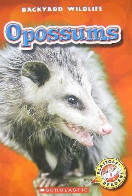 Opossums by Emily K. Green