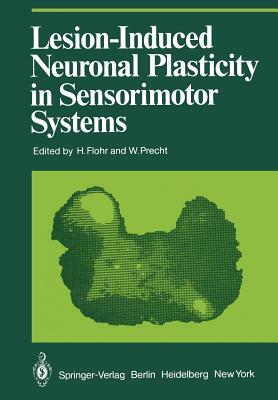 Lesion-Induced Neuronal Plasticity in Sensorimotor Systems by 