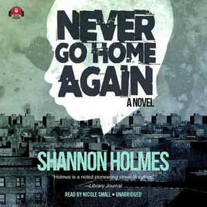 Never Go Home Again by Shannon Holmes