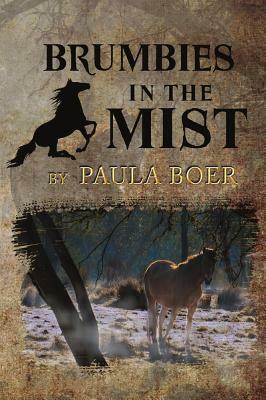 Brumbies in the Mist by Paula Boer