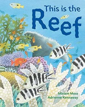 This Is the Reef by Adrienne Kennaway, Miriam Moss