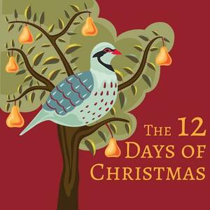 The 12 Days of Christmas by Xist Publishing