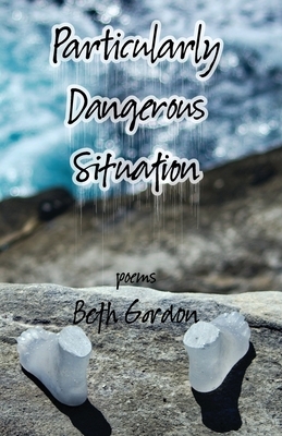 Particularly Dangerous Situation by Beth Gordon