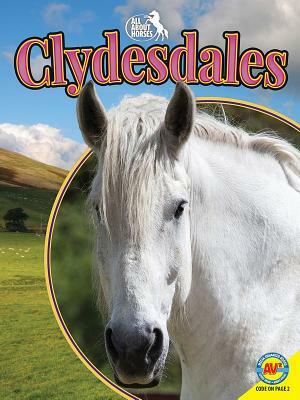 Clydesdales by Pamela Dell