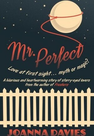 Mr Perfect by Joanna Davies