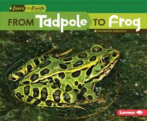 From Tadpole to Frog by Shannon Zemlicka