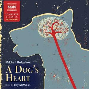 A Dog's Heart by Mikhail Bulgakov