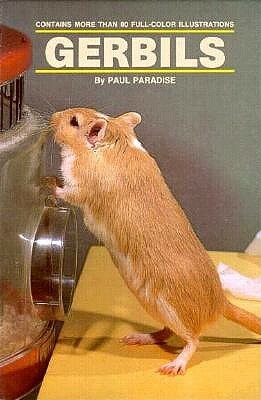 Gerbils by Paul Paradise