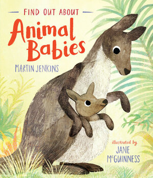 Find Out About: Animal Babies by Martin Jenkins
