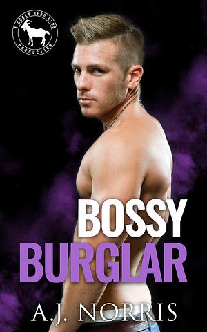 Bossy Burglar by A.J. Norris, A.J. Norris