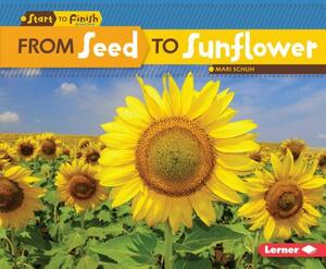 From Seed to Sunflower by Mari Schuh