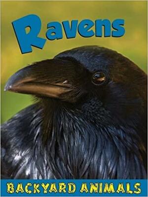 Ravens by Christine Webster