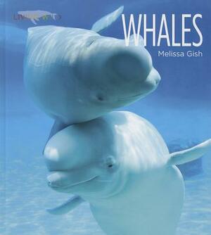 Whales by Melissa Gish