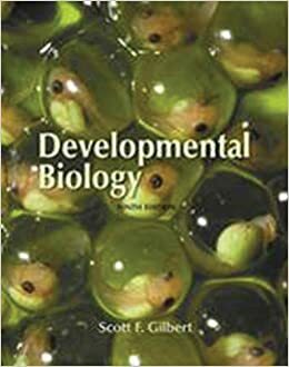 Developmental Biology by Scott F. Glibert, Scott F. Glibert
