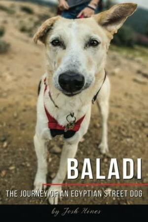 Baladi: The Journey of an Egyptian Street Dog by Josh Hines, Nick Stewart, Jay Sizemore, Carrie Stewart, Jennifer Miller, Stephanie Fountain