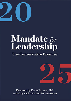 Mandate for Leadership: The Conservative Promise by Steven Groves, Paul Dans