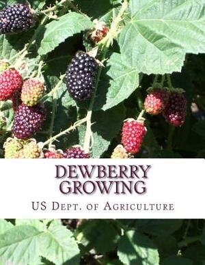 Dewberry Growing: Farmers' Bulletin 1403 by Us Dept of Agriculture