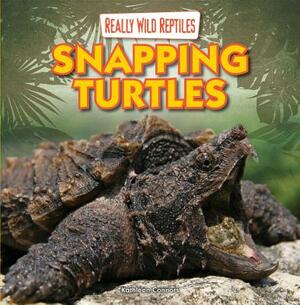 Snapping Turtles by Kathleen Connors