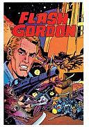 Flash Gordon Comic Book Archives Volume 3, Volume 3 by Joe Gill, Bill Pearson