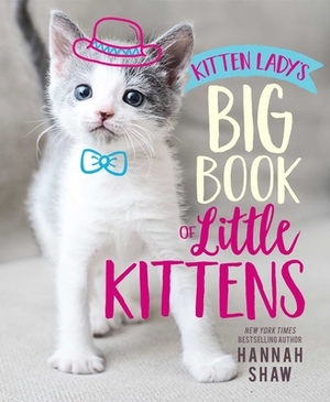 Kitten Lady's Big Book of Little Kittens by Hannah Shaw