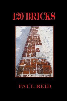 120 Bricks by Paul Reid