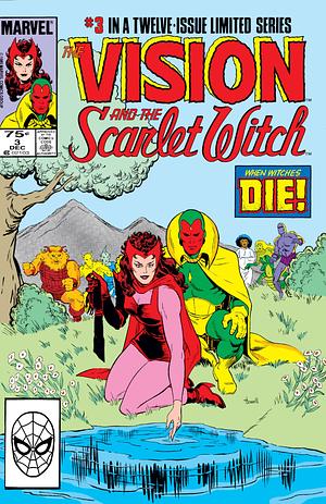 Vision and the Scarlet Witch #3 by Steve Englehart