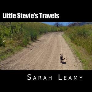 Little Stevie's Travels: The Camping Cat by Sarah Leamy