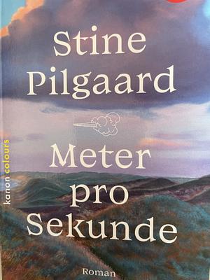 Meter pro Sekunde: Roman by Stine Pilgaard