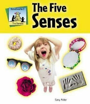 Five Senses by Carey Molter