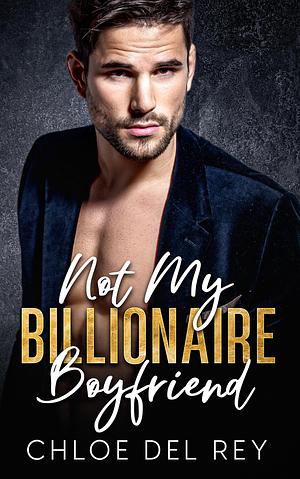Not My Billionaire Boyfriend: An Enemies to Lovers Romance by Chloe del Rey, Chloe del Rey