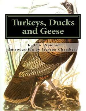 Turkeys, Ducks and Geese: Breeding, Hatching and Rearing For Pleasure or Profit by H. a. Nourse