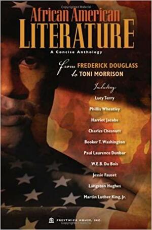 African American Literature: A Concise Anthology From Frederick Douglass To Toni Morrison by Phillis Wheatley, Langston Hughes, Charles W. Chesnutt, Toni Morrison, Harriet Ann Jacobs, Magedah Shabo, Martin Luther King Jr., Frederick Douglass, Booker T. Washington, Lucy Terry, W.E.B. Du Bois, Jessie Redmon Fauset, Paul Laurence Dunbar