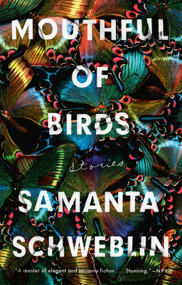Mouthful of Birds: Stories by Samanta Schweblin