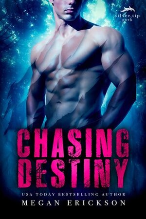 Chasing Destiny by Megan Erickson