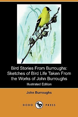 Bird Stories from Burroughs: Sketches of Bird Life Taken from the Works of John Burroughs (Illustrated Edition) (Dodo Press) by John Burroughs