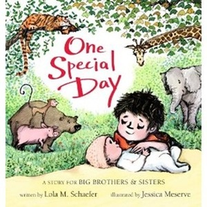 One Special Day: A Story for Big Brothers and Sisters by Jessica Meserve, Lola M. Schaefer