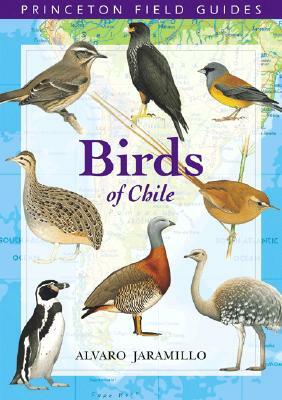 Birds of Chile by Alvaro Jaramillo