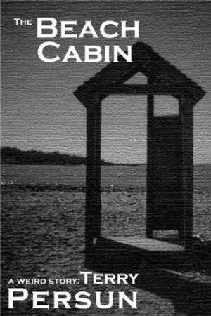 The Beach Cabin by Terry Persun