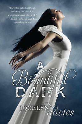 A Beautiful Dark by Jocelyn Davies