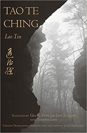 Daodejing: kulgemise väe raamat by Laozi