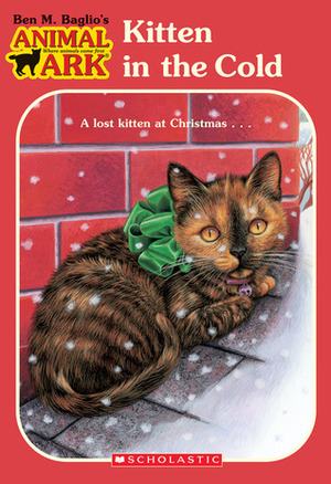 Kitten in the Cold by Shelagh McNicholas, Ben M. Baglio