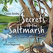 Secrets of the Saltmarsh by Claire Saxby