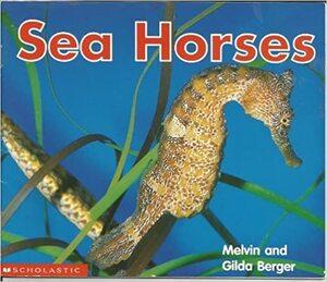 Sea Horses by Melvin A. Berger