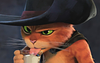 herdingcats's profile picture