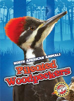 Pileated Woodpeckers by Rebecca Sabelko