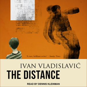 The Distance by Ivan Vladislavic