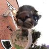 hapalyn's profile picture